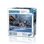 20800 PUZZLE 1000 TREADURED MEMORİES