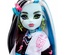 Monster High Ana Karakter Bebekler Frankie Stein HHK53