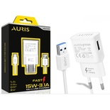 Auris Auris Micro Usb Şarj Seti 3,1A