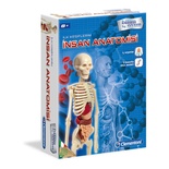 İlk Keşiflerim - İnsan Anatomisi