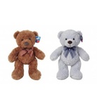 PL50113 40 CM AYI -HLY