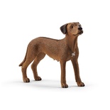 Schleich - Rodezya Ridgeback Köpek +3 yaş