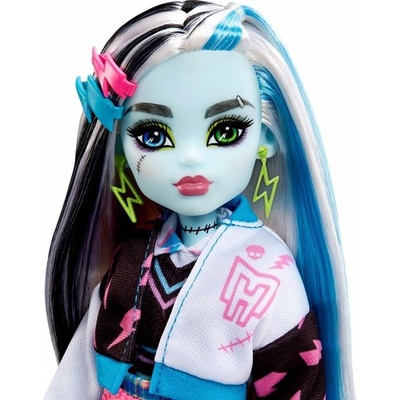 Monster High Ana Karakter Bebekler Frankie Stein HHK53
