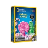 NAT00002 National Geographic Kristal Bahçe Kiti - TRCRYSGRDN +8 yaş