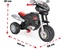 07 322 Pilsan Desert Eagle Pedallı Motosiklet