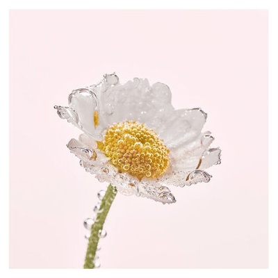 Yves Rocher Pure Camomile Yüz Yıkama Makyaj Temizleme Yağı 150 ml