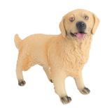Model Köpek Ten Rengi Golden Retriever