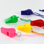 Plastik Renkli Düdük 20 Li Paket