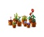 10329 Lego Botanical Collection - Minik Bitkiler 753 parça +18 yaş