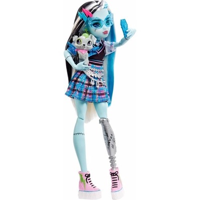 Monster High Ana Karakter Bebekler Frankie Stein HHK53