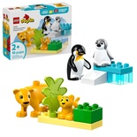 Lego Led10442 Lego Duplo Penguen Ve Aslanlar