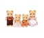 5059 Sylvanian Families, Ayı Ailesi