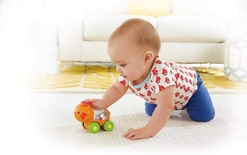 Fisher Price Poppity Araçlar -Turuncu Aslan CMV97