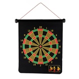 8017 Yaldızlı Mıknastıslı Dart 17inç